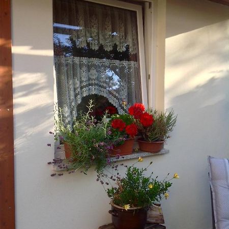 Apartament Am Mathildenbrunnen Klein Quedlinburg Zewnętrze zdjęcie