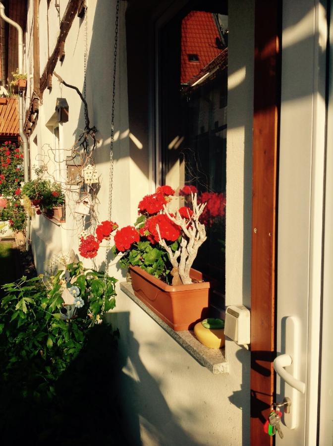 Apartament Am Mathildenbrunnen Klein Quedlinburg Zewnętrze zdjęcie